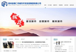 从江城市开发投资集团有限公司